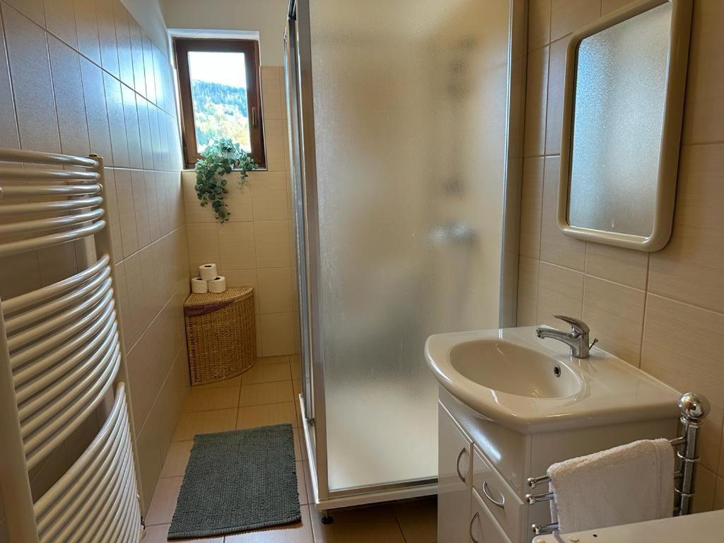 Apartman Železná Ruda Exterior foto