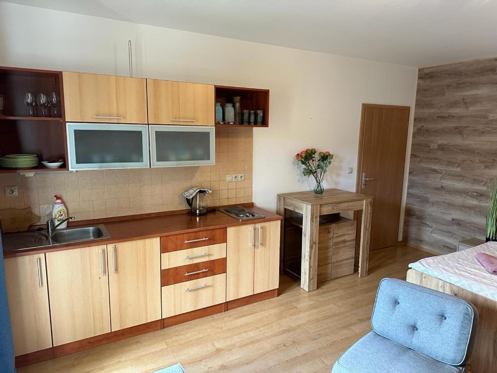 Apartman Železná Ruda Exterior foto
